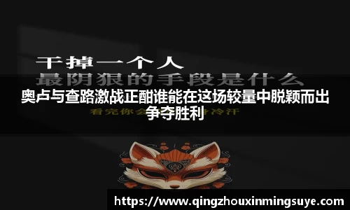 奥卢与查路激战正酣谁能在这场较量中脱颖而出争夺胜利