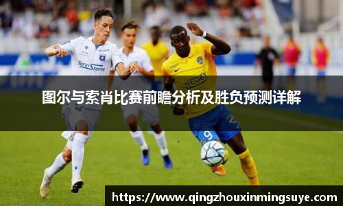 图尔与索肖比赛前瞻分析及胜负预测详解