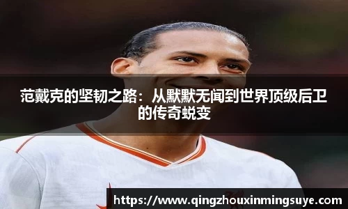 范戴克的坚韧之路：从默默无闻到世界顶级后卫的传奇蜕变