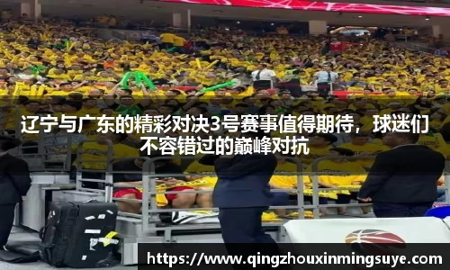 辽宁与广东的精彩对决3号赛事值得期待，球迷们不容错过的巅峰对抗